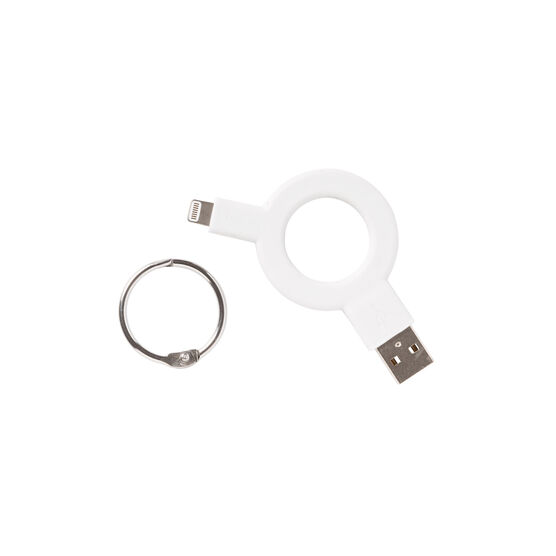 Charge and Sync cable keyring